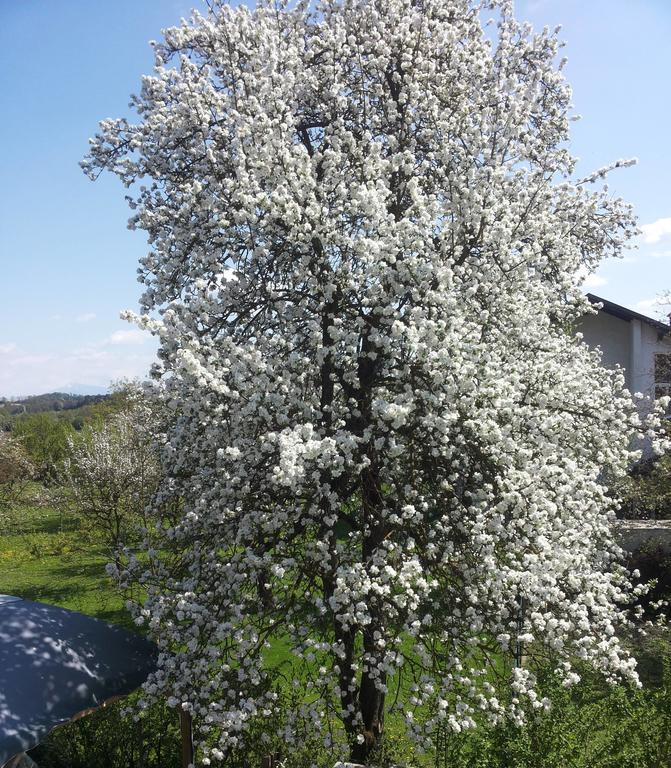 Stadtnahe Landwohnung Klagenfurt am Woerthersee ภายนอก รูปภาพ